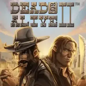 Grote winst op Dead or Alive 2 bij Wild Robin Casino